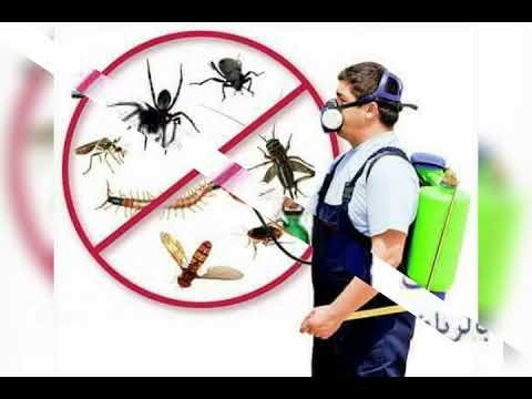 شركة رش مبيدات بالرياض – شركة رش مبيدات لجميع الحشرات الصفرات بالرياض 0549292017