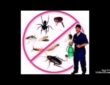 شركة تنظيف منازل بشرق الرياض 0507570933 ؛ مكافحة حشرات